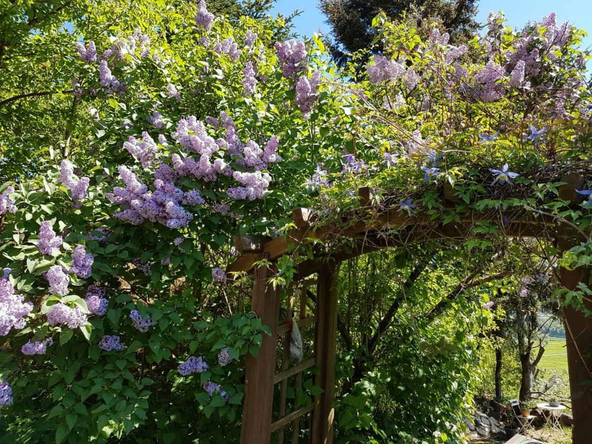 Ferienwohnung Eifelliebe Udler Εξωτερικό φωτογραφία